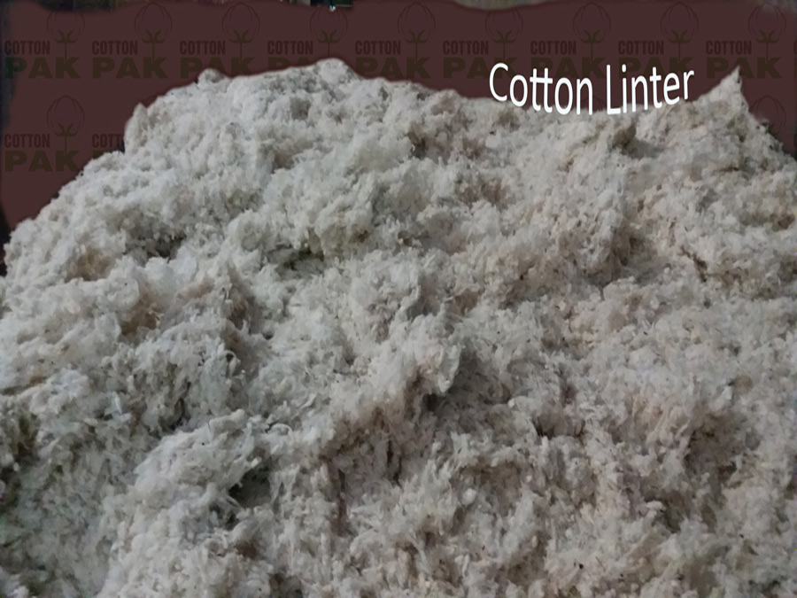 Cotton Linter